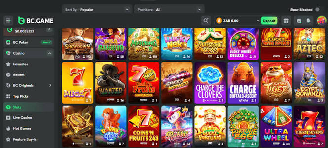 Exploring the BC.Game Platform A New Era in Online Gaming
